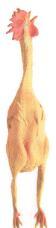 Rubber Chicken